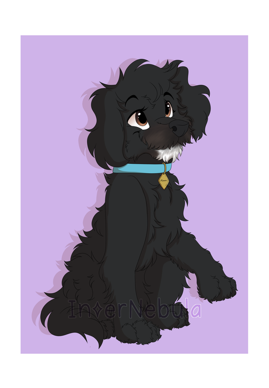 Pet Portrait