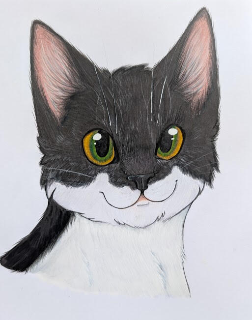 Pet Portrait